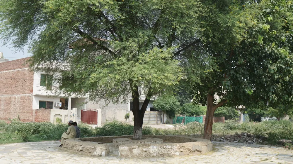 A study and gathering space built from reclaimed concrete around existing trees